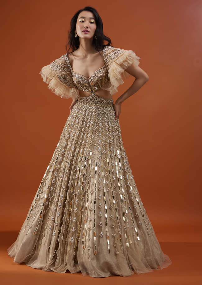 Champagne Gold Angelic Net Gown With Mirror Work And Ruffle Sleeves - NOOR 2022