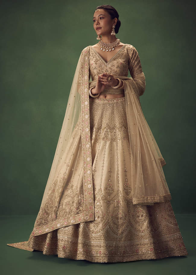 Light Gold Hand Embroidered Lehenga Set