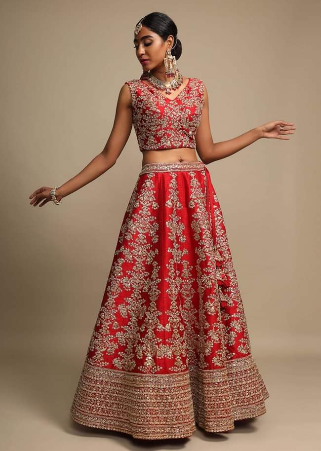 Scarlet Red Lehenga Choli In Raw Silk With Zari Embroidered Feminine Floral Kalis 
