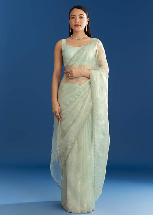 aqua-blue-organza-tissue-saree-with-embellished-border-sg284704-1.jpg aqua-blue-organza-tissue-saree-with-embellished-border-sg284704-1.jpg