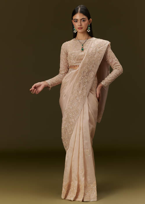 beige-ivory-tissue-saree-with-velvet-embroidered-blouse-sg309648-1.jpg
