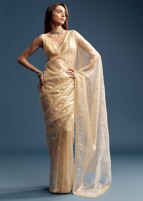 beige-tissue-saree-with-vine-and-floral-embroidery-sg319453-1.jpg