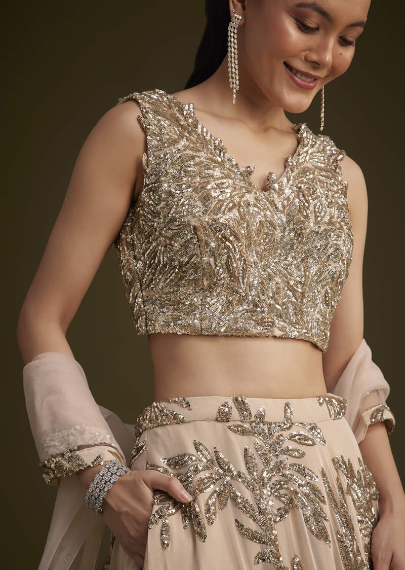 Beige Net Lehenga Set With Sequins Dupatta