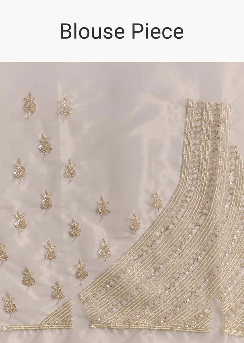 Beige Tissue Saree With Floral Embroidery And Beadwork