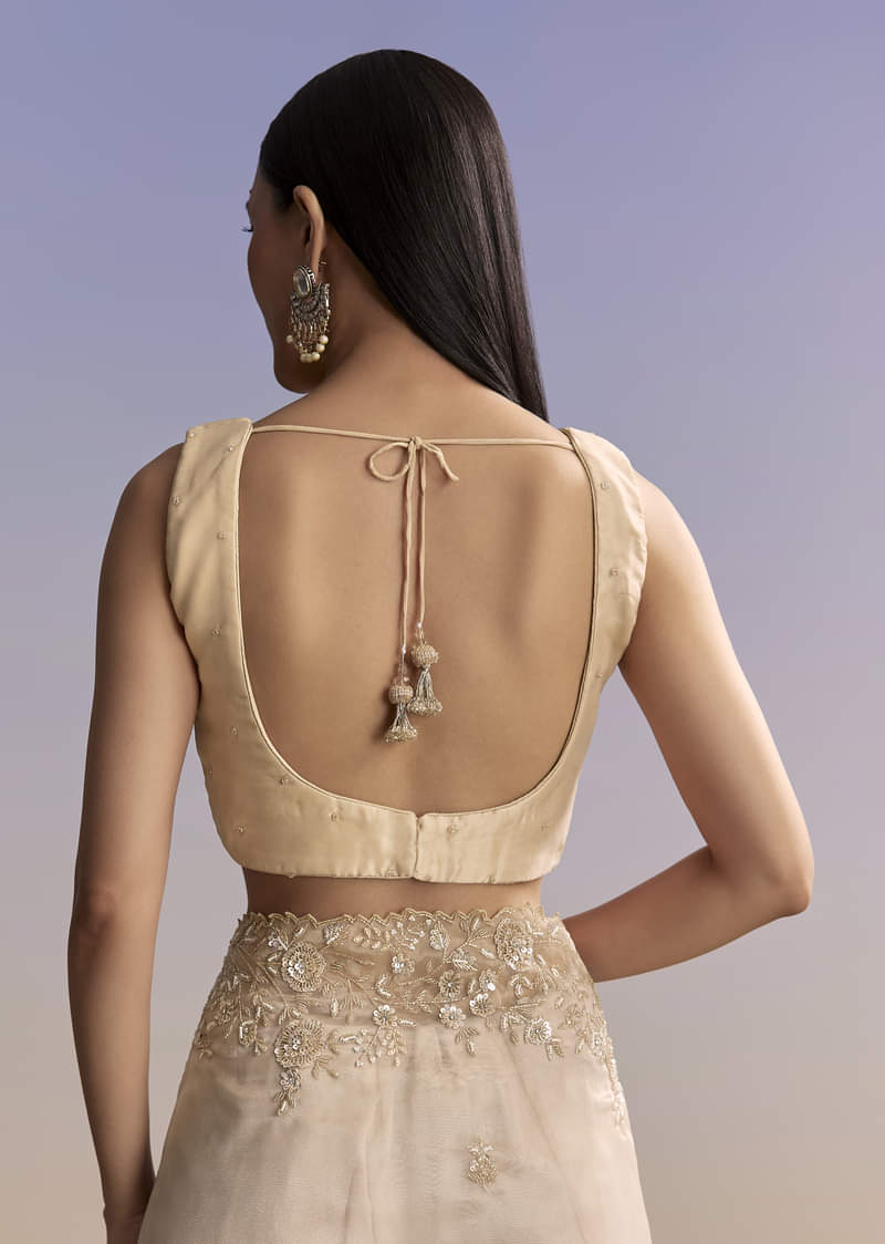 Beige Tissue Saree With Floral Embroidery And Beadwork