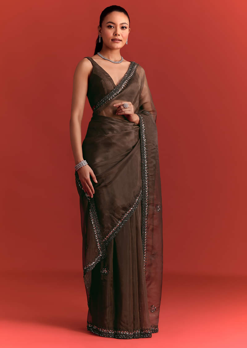 Brown Tissue Saree With Cutdana And Sequin Work