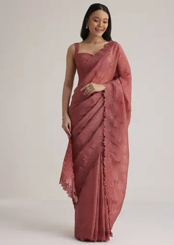 Brick Pink Crushed Tissue Saree With Resham Cutwork Border