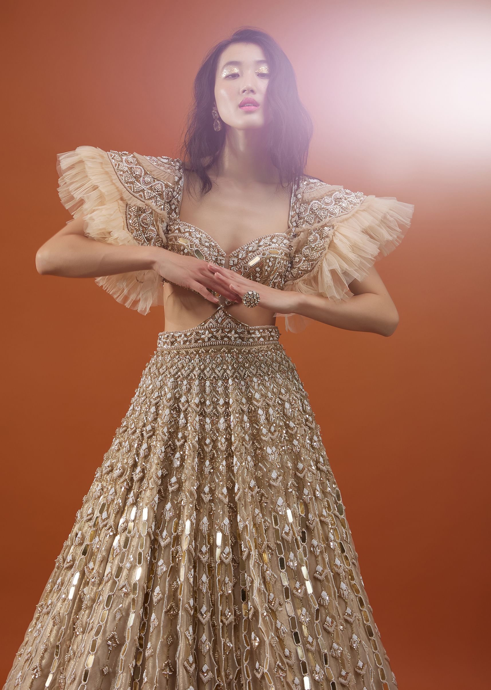 Gown with net sleeves new arrivals