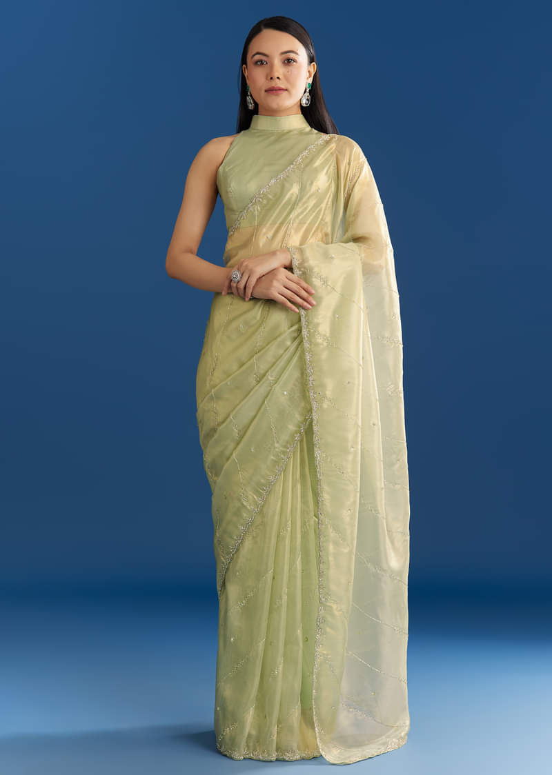 light-green-organza-tissue-saree-with-embroidered-scallop-border-sg284708-1.jpg?w=800