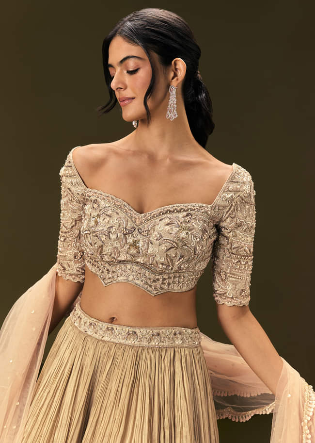 Light Peach Banarasi Silk Lehenga Dupatta With Embroidered Blouse