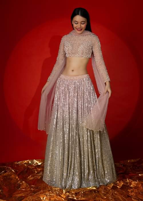Silver Embellishments Chic Crop Cut Sequin Top