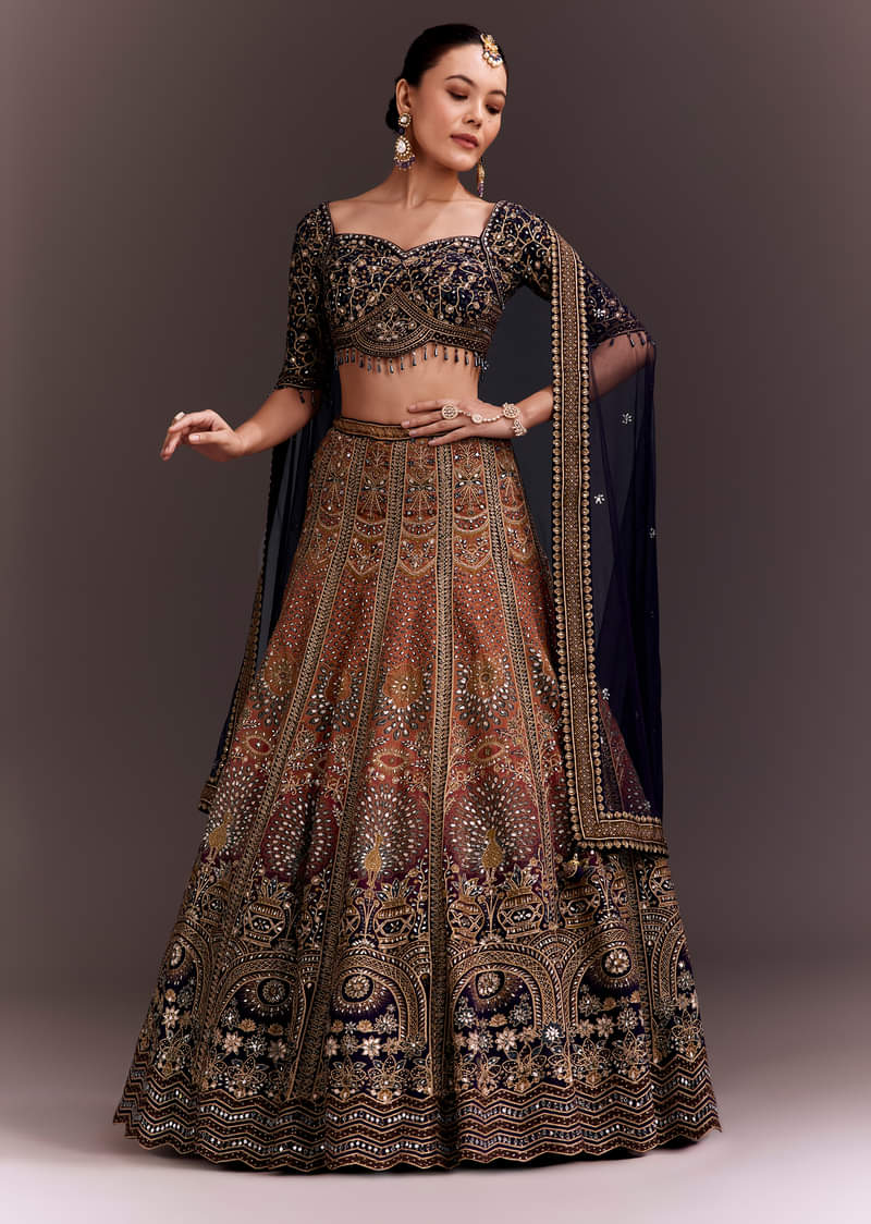 Ombre Zari Embroidered Lehenga Set