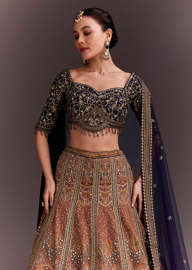 Ombre Zari Embroidered Lehenga Set