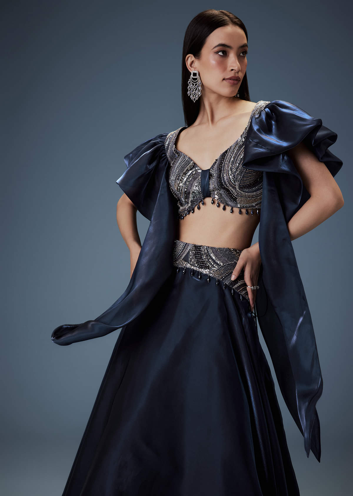 Navy Blue Organza Butterfly Blouse With Skirt