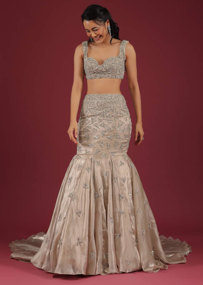 Organza Oyster Mermaid Lehenga With A Stone Motif Veil And Crop Top