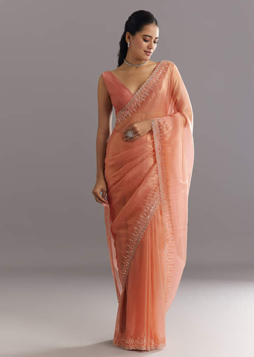 peach-glass-tissue-saree-with-cutdana-sequins-embroidery-and-cutwork-scallop-border-sg292882-1.jpg peach-glass-tissue-saree-with-cutdana-sequins-embroidery-and-cutwork-scallop-border-sg292882-1.jpg