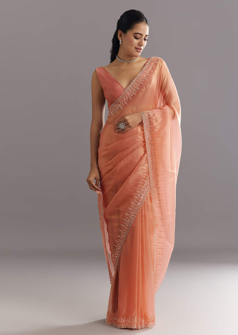 peach-glass-tissue-saree-with-cutdana-sequins-embroidery-and-cutwork-scallop-border-sg292882-1.jpg?w=800