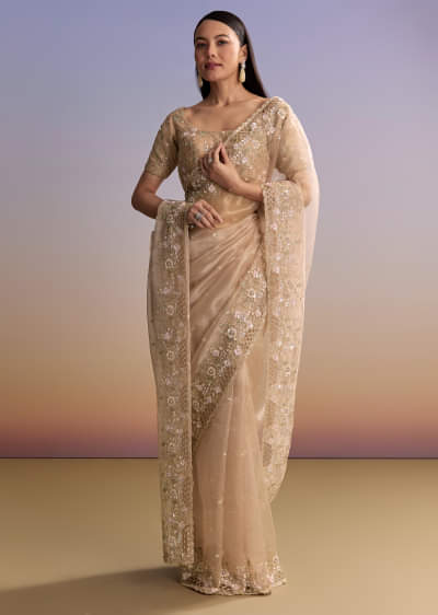 Beige Tissue Embroidered Saree With Floral Hand Embroidery