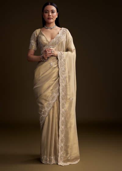 Gold Tissue Saree With Stone And Bead Embroidery