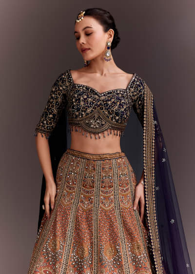 Ombre Zari Embroidered Lehenga Set